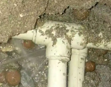 桂林市测漏水多少钱