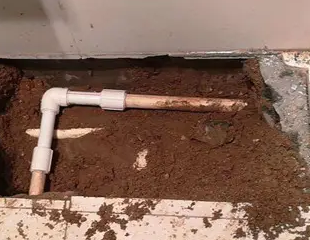 桂林市测漏水哪家好