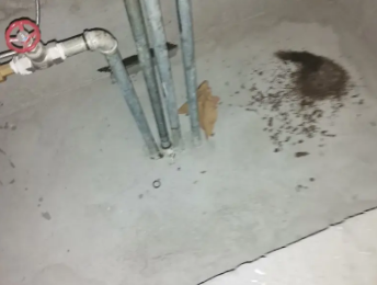 桂林市卫生间测漏水价格明细